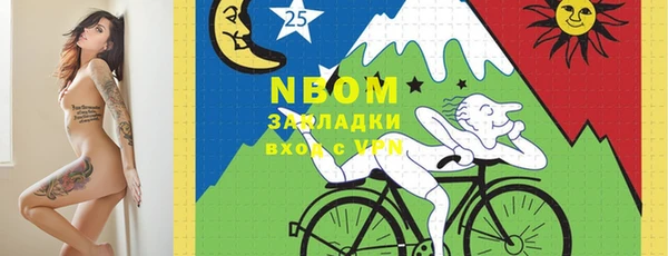 трава Няндома
