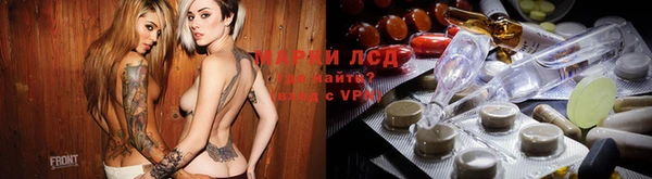 трава Няндома