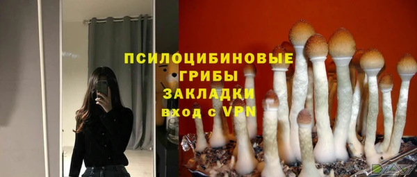 бошки Осинники