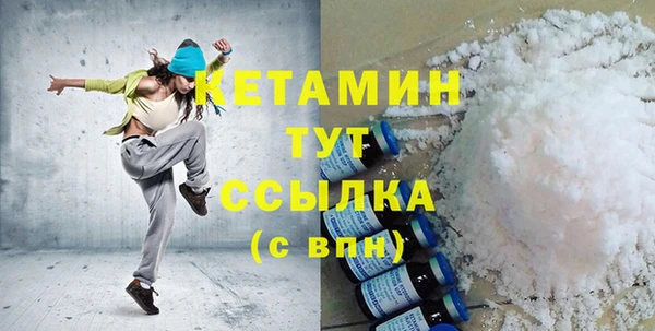 трава Няндома