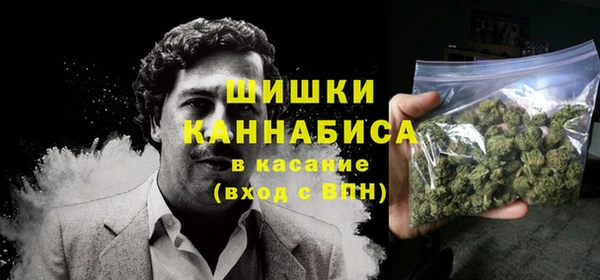 бошки Осинники