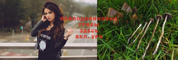 бошки Осинники