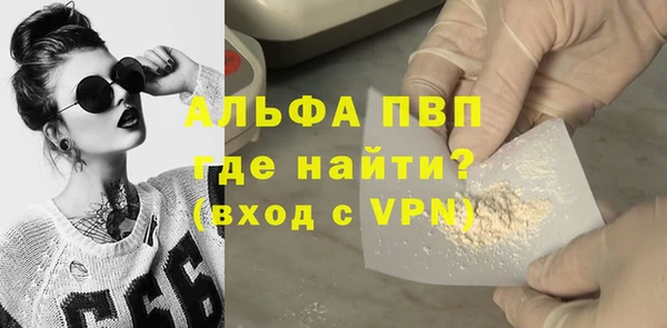 трава Няндома